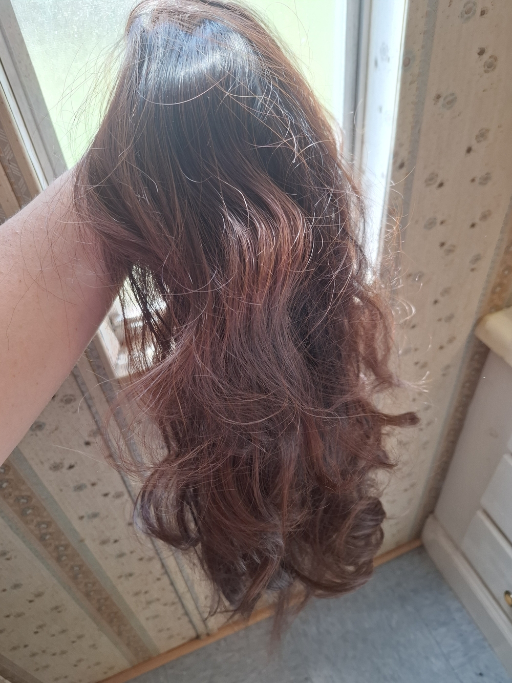 Women's Wavy Wig - Brown